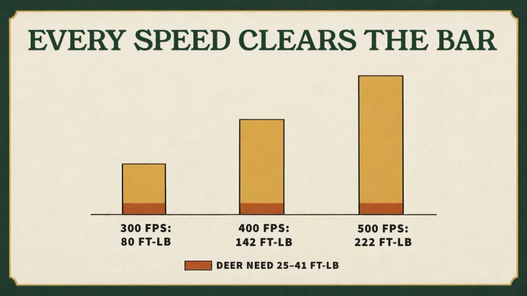 A 400-grain bolt carries 80, 142 and 222 ft-lb at 300, 400 and 500 fps, far above the 25–41 ft-lb deer range With a 400-grain bolt, 300 fps gives 80 ft-lb, 400 fps 142 and 500 fps 222: all far above the 25–41 ft-lb needed for deer.