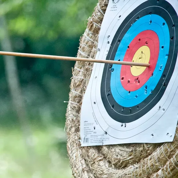 An arrow in the gold of a target face